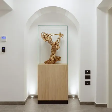 Amira Ca' Argento Premium In Center *